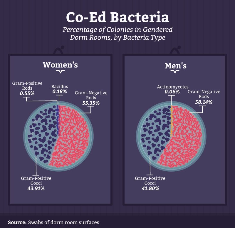06_coed_bacteria